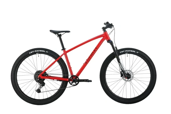Велосипед Format 1213 29 (2025)